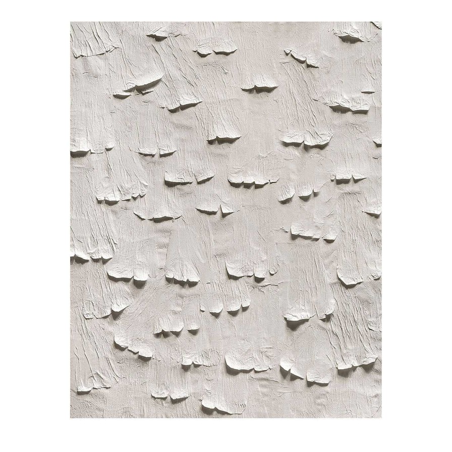 Decoration Fabscarte Panneaux Decoratifs | Peinture Ginko Bianco