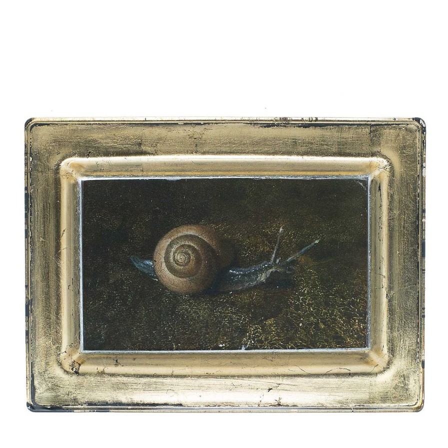 Decoration Pulchra Imago Vide Poches | Escargot Melchior D'Hondecoeter Plateau A Pochettes Vides